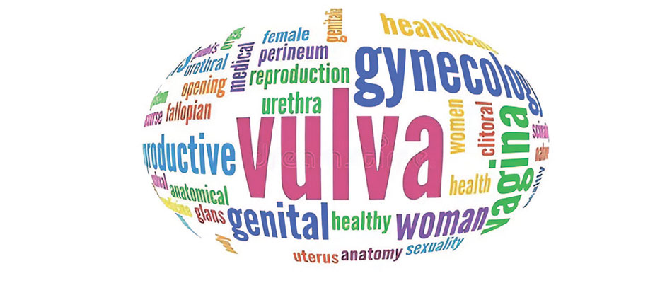 Жжение вульвы и вульводиния: взгляд 2025-2026