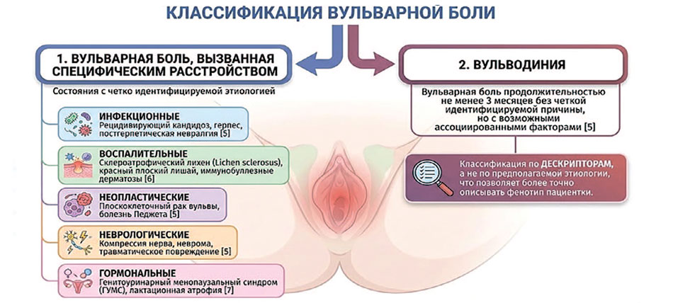 вульварная боль
