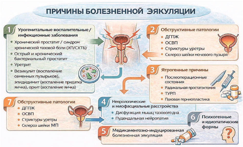 Рис. 2. Причины болезненной эякуляции